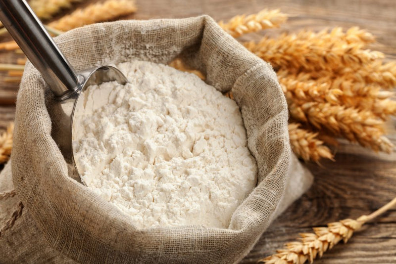 All Family AP Flour Organic: 25lbs
