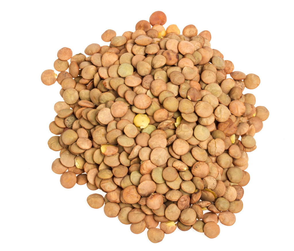 Spanish Brown Lentils Organic: 25lbs