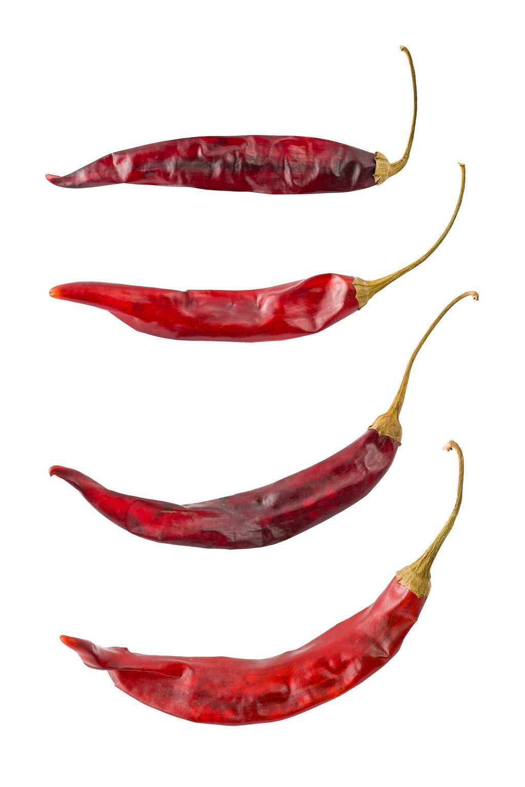 Chile Puya Pods: 1lb