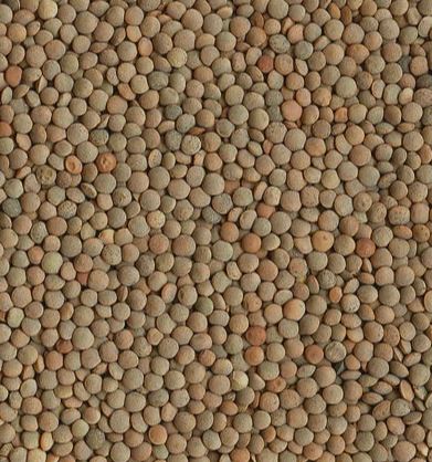 Pardina Brown Lentils Organic: 25lbs