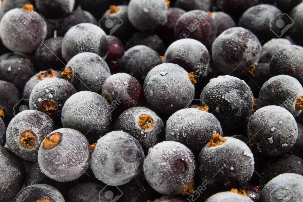 Black Currants (Cassis) IQF: 1kg