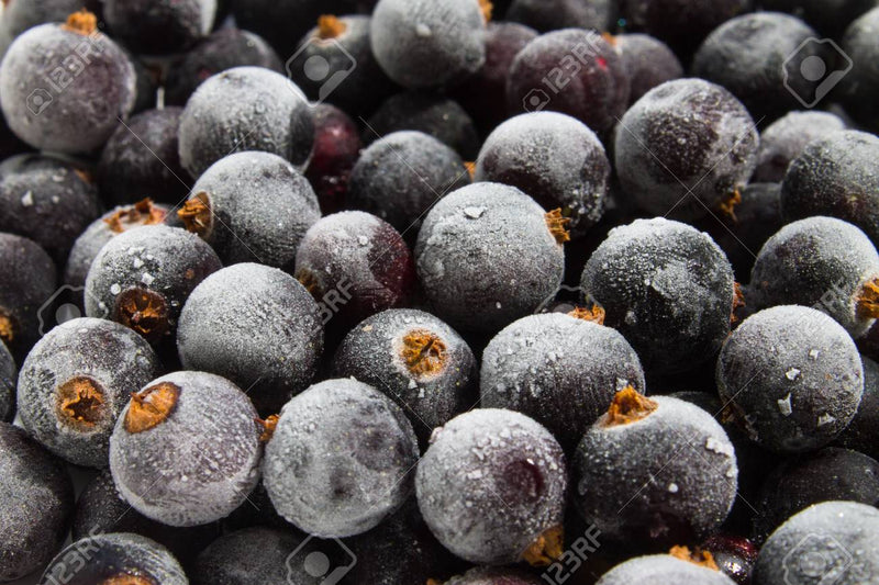 Black Currants (Cassis) IQF: 1kg