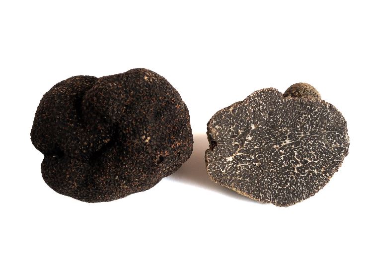 Truffles Frozen Winter Perigord: 1/4 Lb Approx Weight