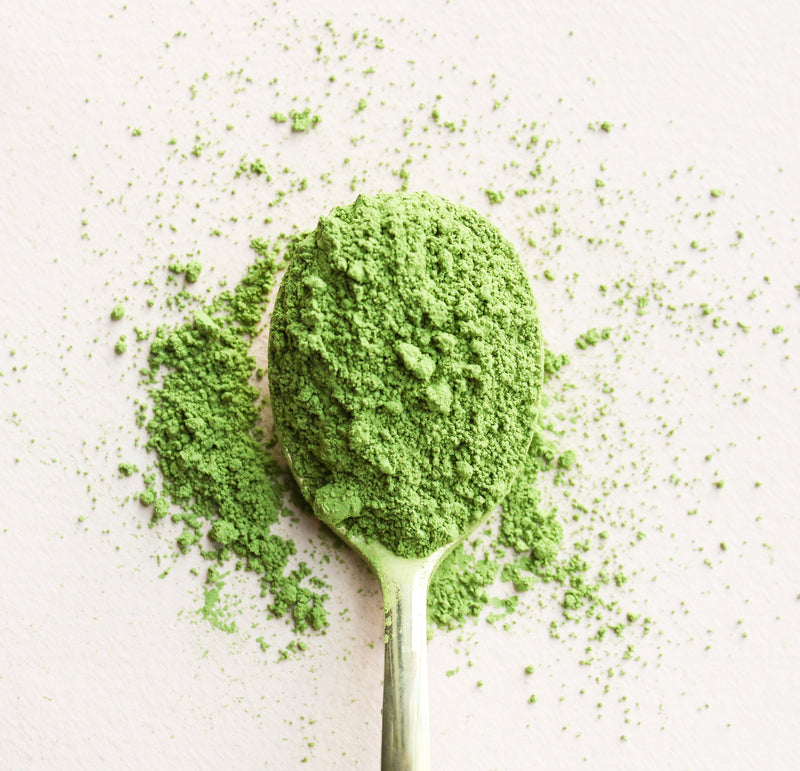 Green Tea Powder Matcha: 1.1lb