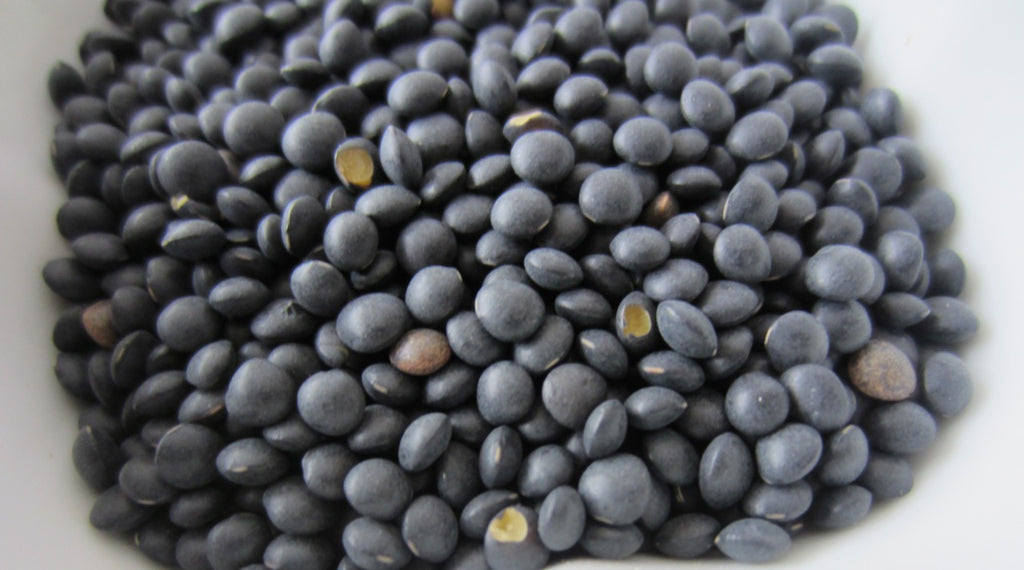 Black Beluga Lentils Organic: 10lbs