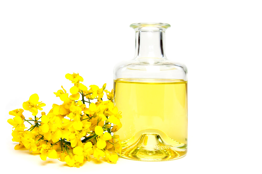 Canola Non-Gmo Expeller Pressed: 5 gal