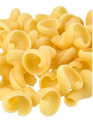 Torchio Bulk: Case