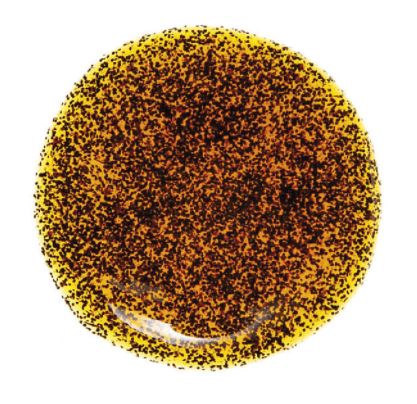 Vanilla Bean Paste Bourbon: 1.4kg