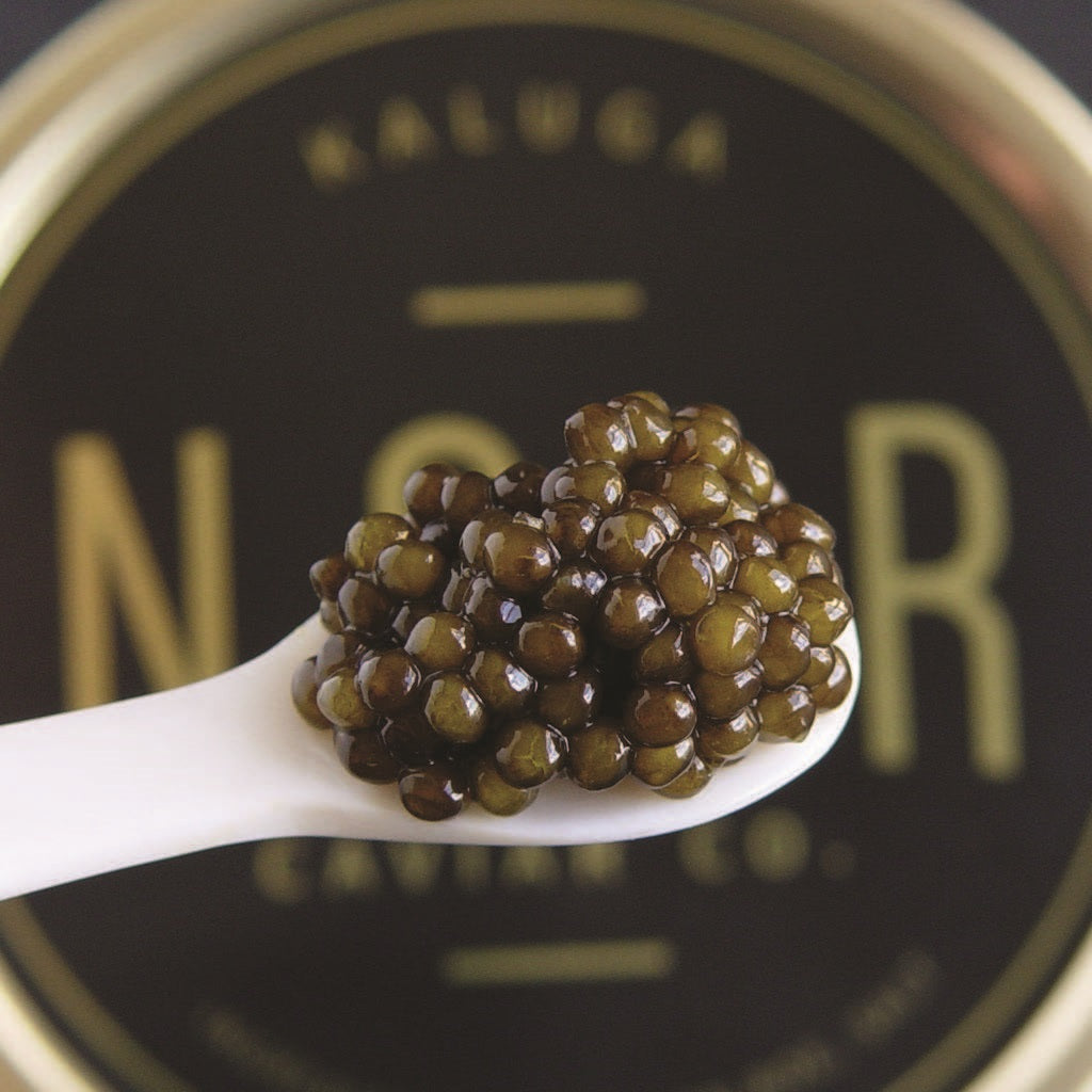 Kaluga Caviar: 30gr