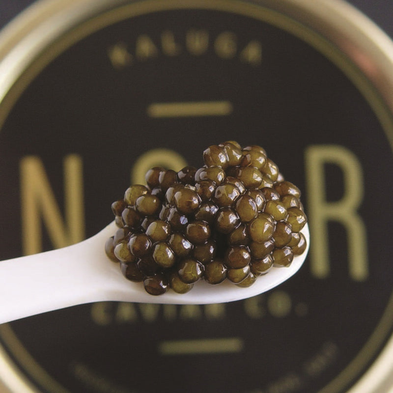 Kaluga Caviar: 30gr - NEW ITEM!