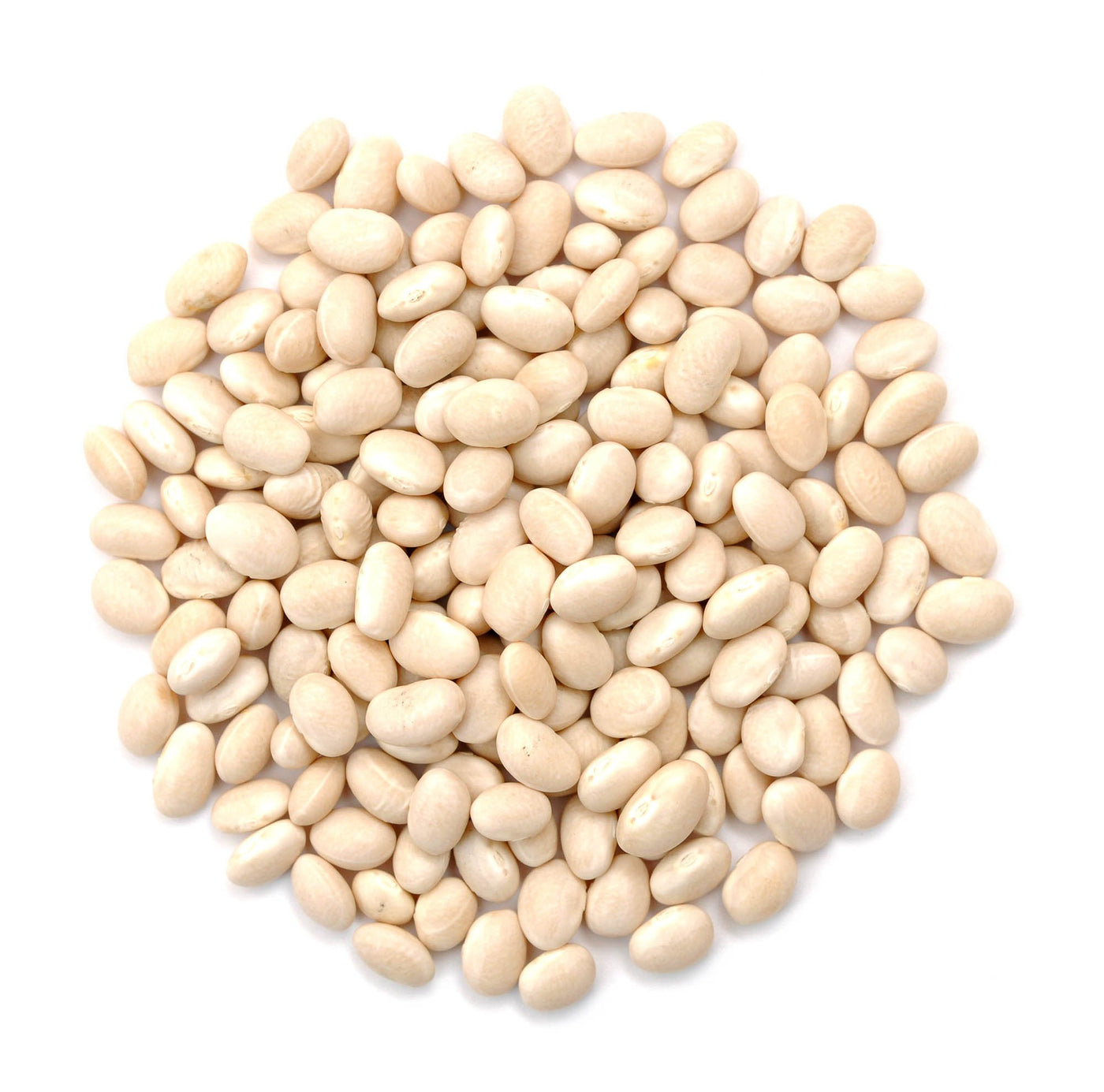 Dark Red Kidney Beans, Organic- 25 lb. Bag