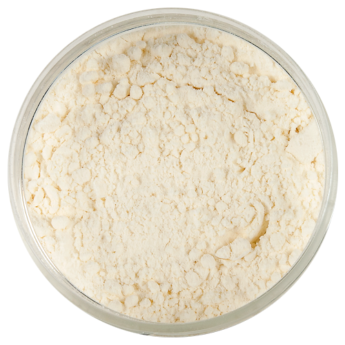 Yogurt Dried Powder: 1.1lb