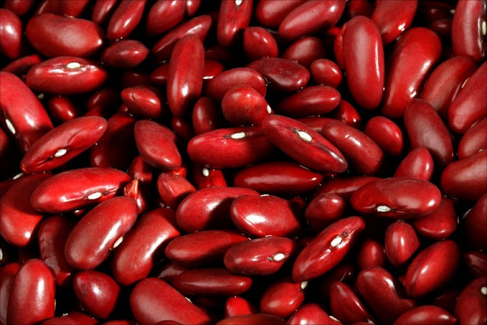 Dark Red Kidney Beans: 25lbs