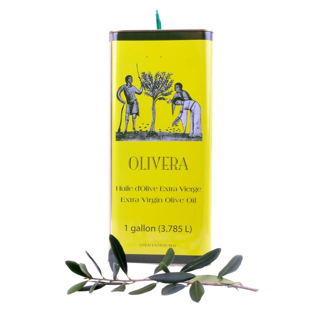 1-Gallon Olive Oil
